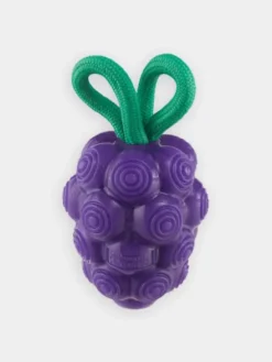 Jouet à remplir pour chien - Raisin 🍇
