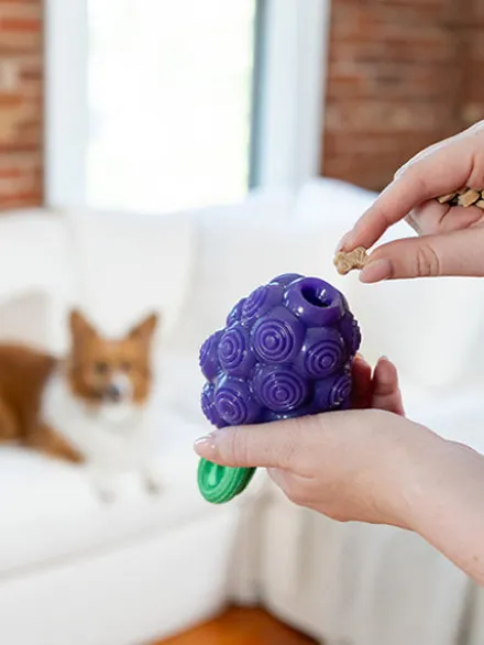 Jouet à remplir pour chien - Raisin 🍇