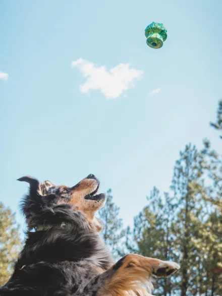 Jouet à remplir pour chien - Toadstool (2 coloris)