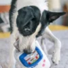 Jouet rétro pour chien - 90's Classic - Game Bone 🎮 - Pet PLAY