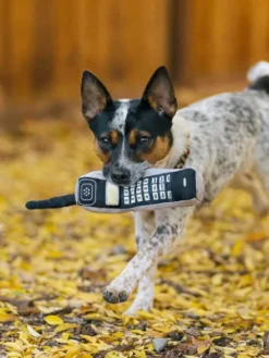 Jouet rétro pour chien - 90's Classic - Téléphone 📞 - Pet PLAY
