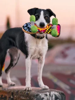 Jouet rétro pour chien - 90's Classic - Skateboard 🛹 - Pet PLAY