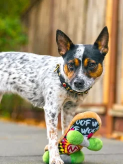 Jouet rétro pour chien - 90's Classic - Skateboard 🛹 - Pet PLAY