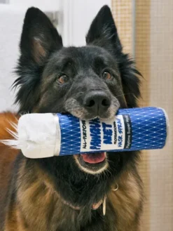 Jouet rétro pour chien - 80's Classic - Hairspray 💇🏽♀️ - Pet PLAY