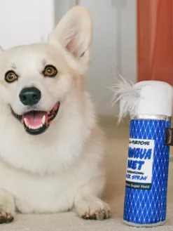 Jouet rétro pour chien - 80's Classic - Hairspray 💇🏽‍♀️ - Pet PLAY