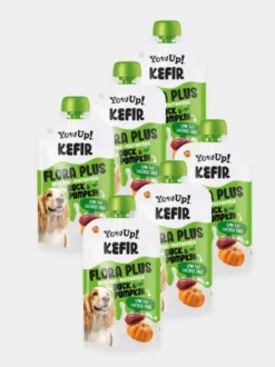 Kéfir à boire pour chien - Canard 🦆 et Citrouille - Yow Up !