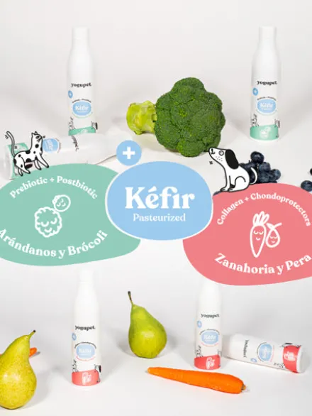 Kéfir pour chien et chat - Carotte et Poire - Yogupet