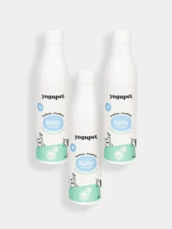 Kéfir pour chien et chat - Myrtille et Brocoli - Yogupet