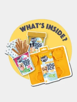 Kit de préparation pour glaces pour chien 🍓 + 🥜 - Petit chien - Smoofl