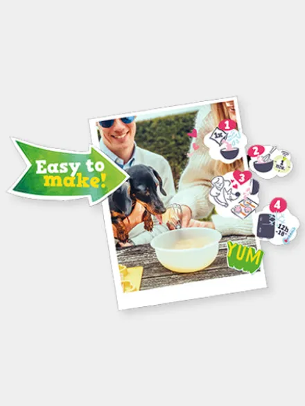 Kit de préparation pour glaces pour chien 🍓 + 🥜 - Chien moyen - Smoofl