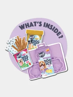 Kit de préparation pour glaces pour chien 🍓 + 🥜 - Grand chien - Smoofl