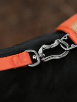 Laisse ajustable multi-position pour chien - Town Cordura - Orange