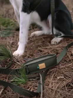 Laisse ajustable multi-position pour chien - Town Cordura - Vert