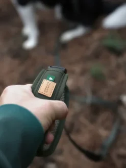 Laisse ajustable multi-position pour chien - Town Cordura - Vert