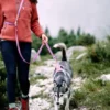 Laisse ajustable multi-position pour chien - Color Block Mauve Mix
