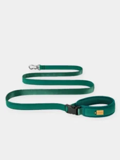 Laisse ajustable multi-position pour chien - Town - Vert