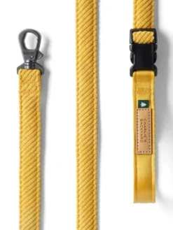 Laisse ajustable pour chien - Roy leash - Jaune