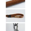 Laisse ajustable pour chien - Roy leash - Caramel