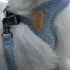 Laisse ajustable pour chien - Roy leash - Baby Blue
