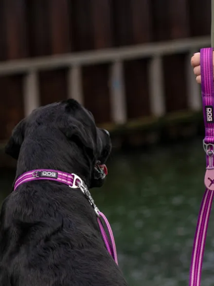 Laisse ajustable pour chien - Urban Freestyle Violet - Dog Copenhagen