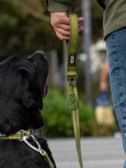 Laisse ajustable pour chien - Urban Freestyle Vert - Dog Copenhagen