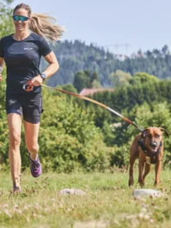 Laisse avec mousqueton - Move Leash - Non-Stop Dogwear