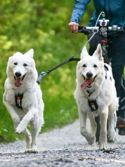 Laisse double - Touring Double (M) - Non-Stop Dogwear