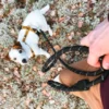 Laisse en corde recyclée pour chien - Black Raven - Woolly Wolf