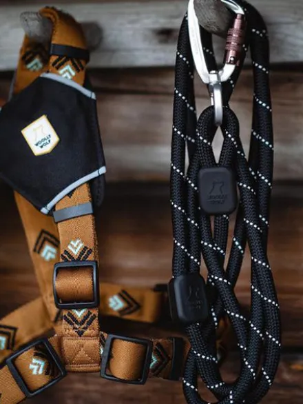 Laisse en corde recyclée pour chien - Black Raven - Woolly Wolf