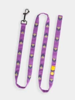 Laisse originale pour chien motif Northern Lights - Woolly Wolf