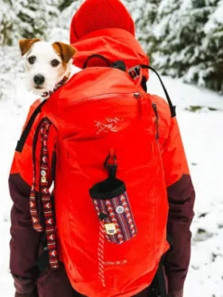 Laisse originale pour chien motif Polar Night - Woolly Wolf