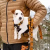 Laisse originale pour chien motif Sea to Summit - Woolly Wolf