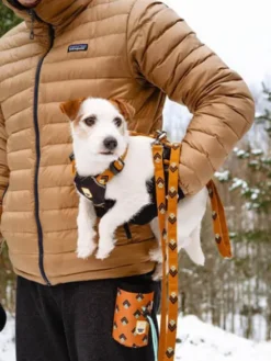 Laisse originale pour chien motif Sea to Summit - Woolly Wolf