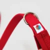Laisse pour chien Funston Waterproof Rouge - Wildebeest