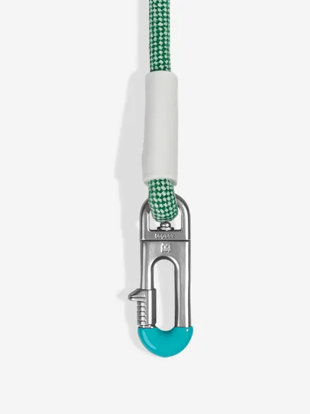 Laisse pour chien mains libres - Velvet Vibes Vert - Zee.Dog