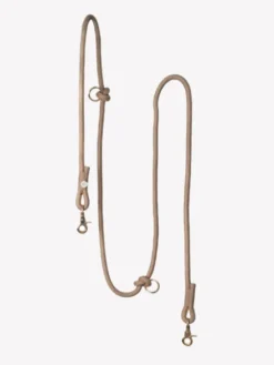 Laisse pour chien