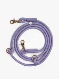 Laisse pour chien