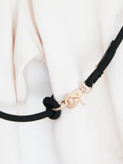 Laisse pour chien 