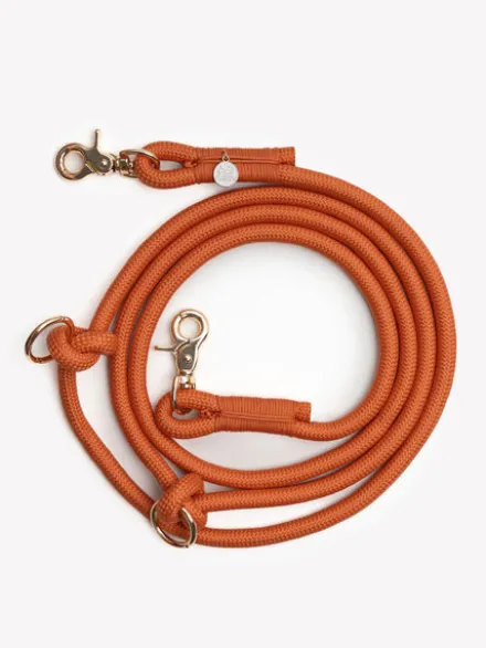 Laisse pour chien "mains libres" en corde - Terracotta - Furlou