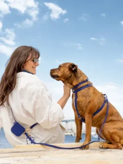 Laisse pour chien multipostions Cloud - Bleu nuit - Shop Sunny Tails