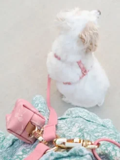 Laisse pour chien multipostions Cloud - Rose parfait - Shop Sunny Tails