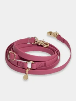 Laisse pour chien multipostions Cloud - Mûre - Shop Sunny Tails
