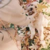 Laisse pour chien multipostions Cloud - Chai - Shop Sunny Tails