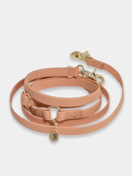 Laisse pour chien multipostions Cloud - Chai - Shop Sunny Tails
