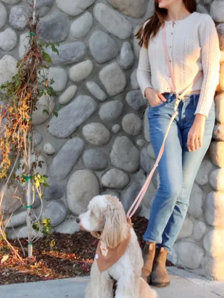 Laisse pour chien multipostions Cloud - Chai - Shop Sunny Tails