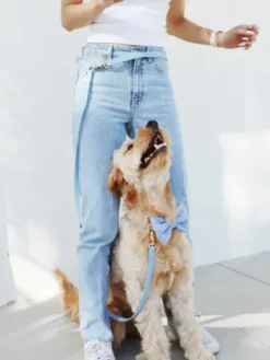 Laisse pour chien multipostions Cloud - Bleu pastel - Shop Sunny Tails