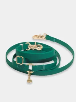 Laisse pour chien multipostions Cloud - Vert forêt - Shop Sunny Tails