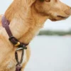Laisse pour chien 3 positions en Biothane - Havana mûre - Hunter