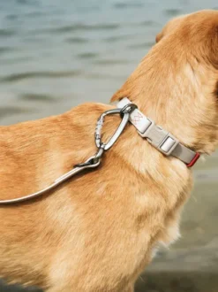 Laisse pour chien 3 positions en Biothane - Havana grège - Hunter