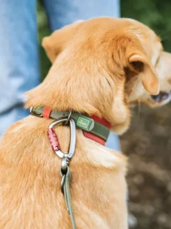Laisse pour chien 3 positions en Biothane - Havana army - Hunter
